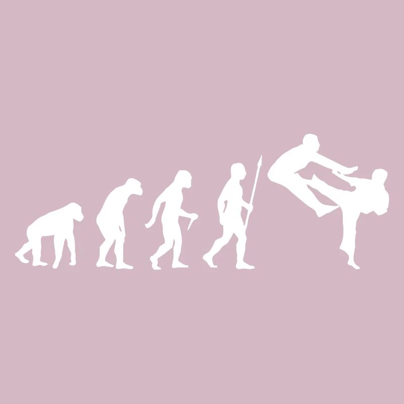 LUSTIGE KARATE-EVOLUTION