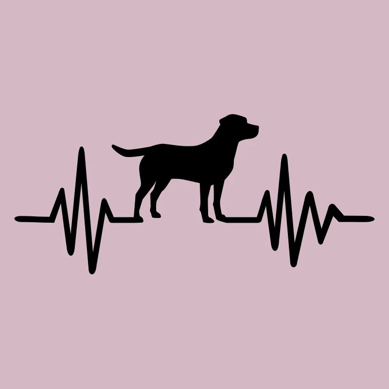Labrador
