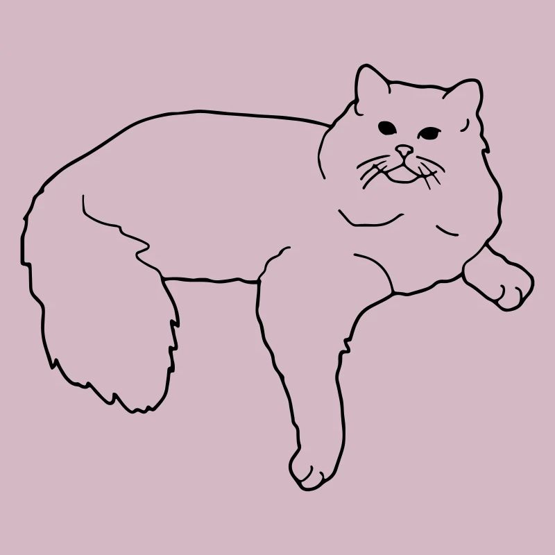 ragdoll
