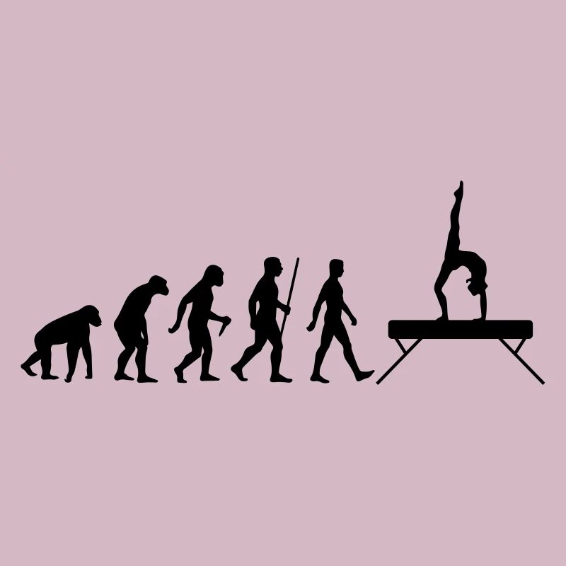 Evolution Schwebebalken