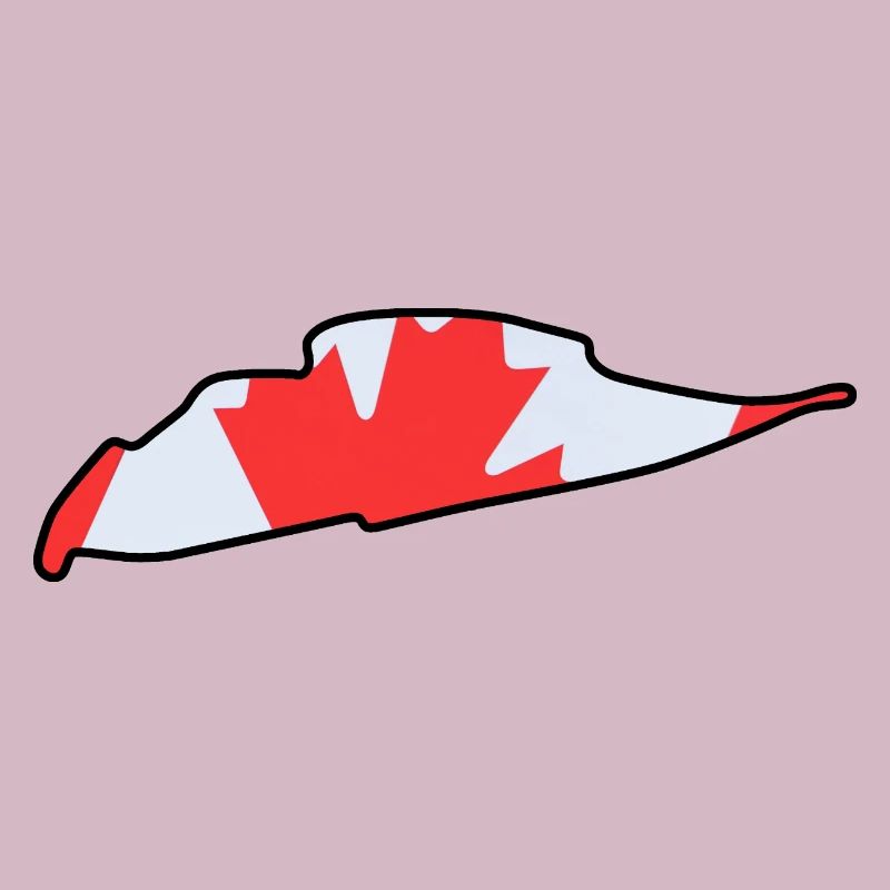 Piste de course du Canada avec drapeau