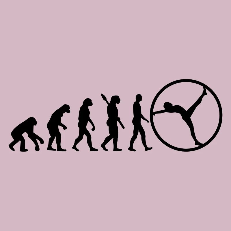 Evolution gymwheel