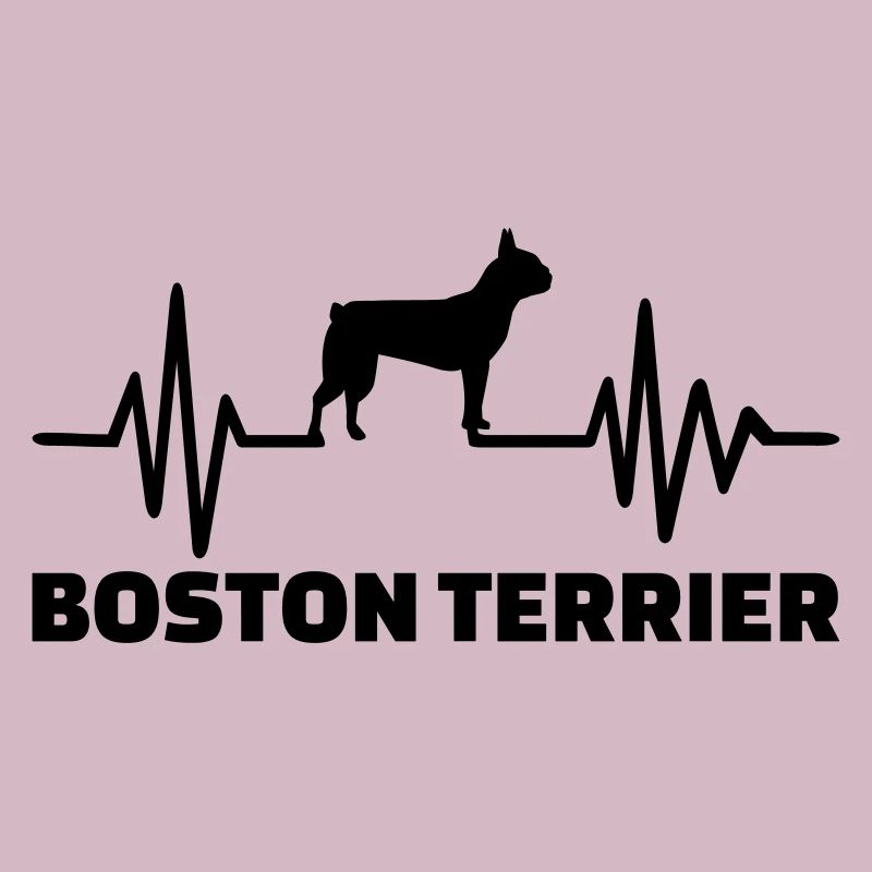 Boston Terrier