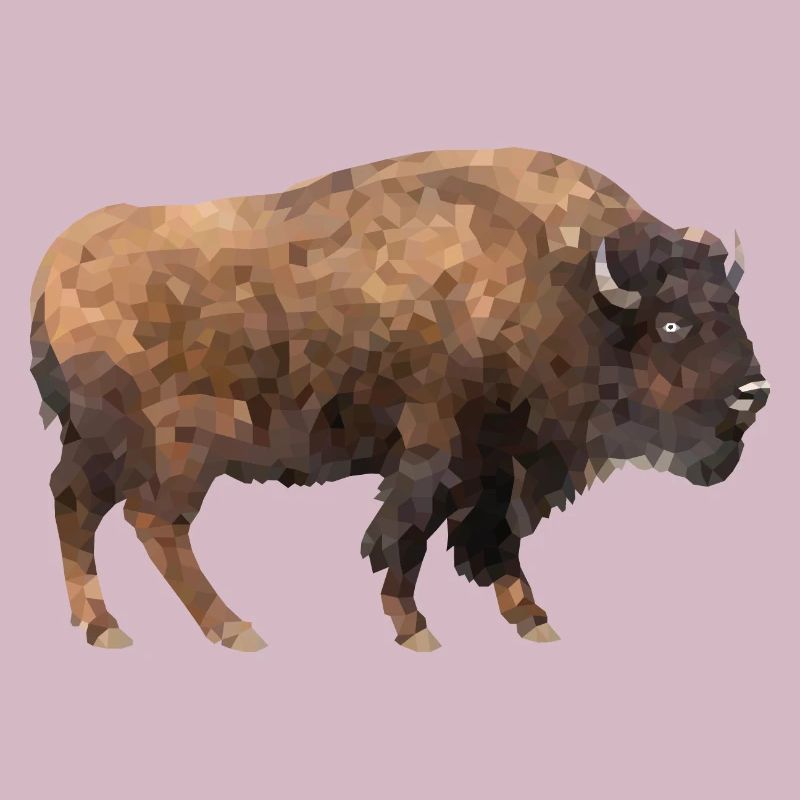 Bison