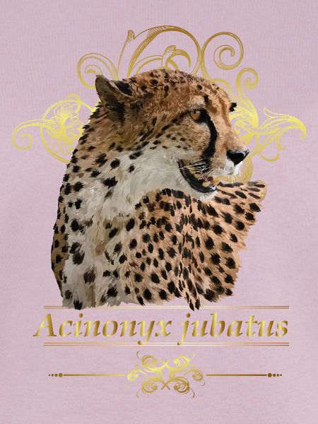 Gepard