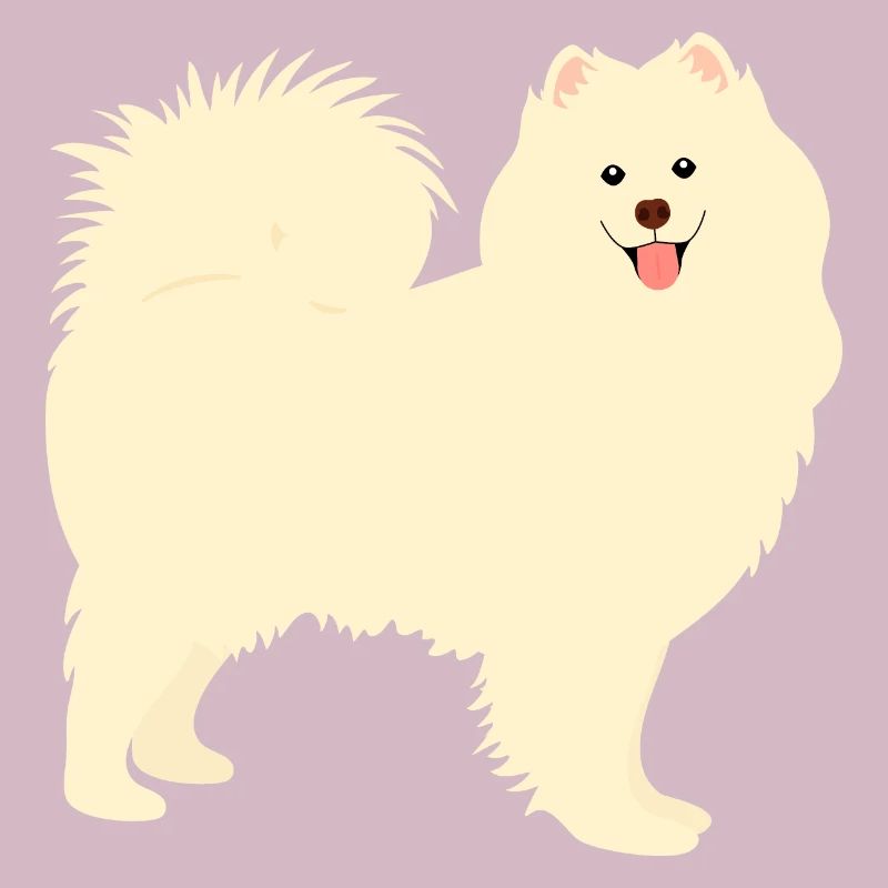 Samojeden Hund