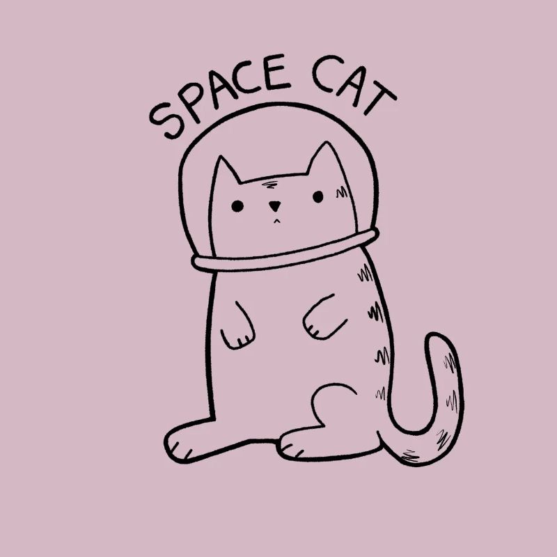 Chat de l'espace