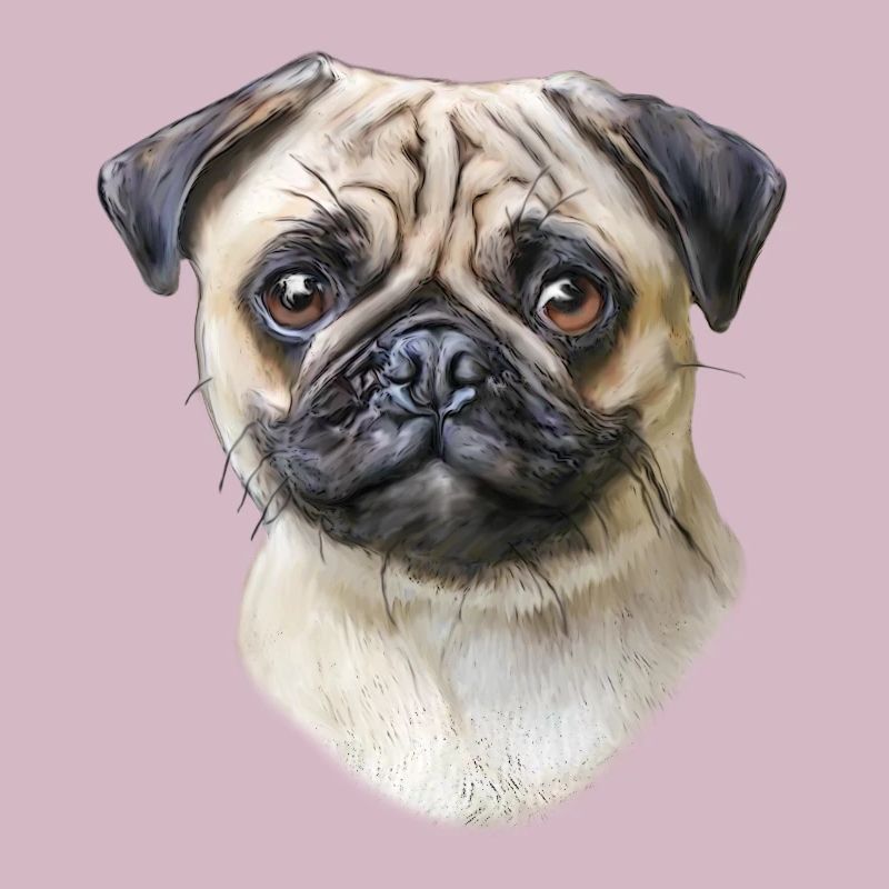 Mops