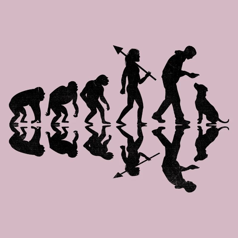 Evolution Labrador Retriever Retrievers de laboratoire