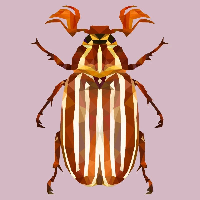 Coléoptère de la pastèque