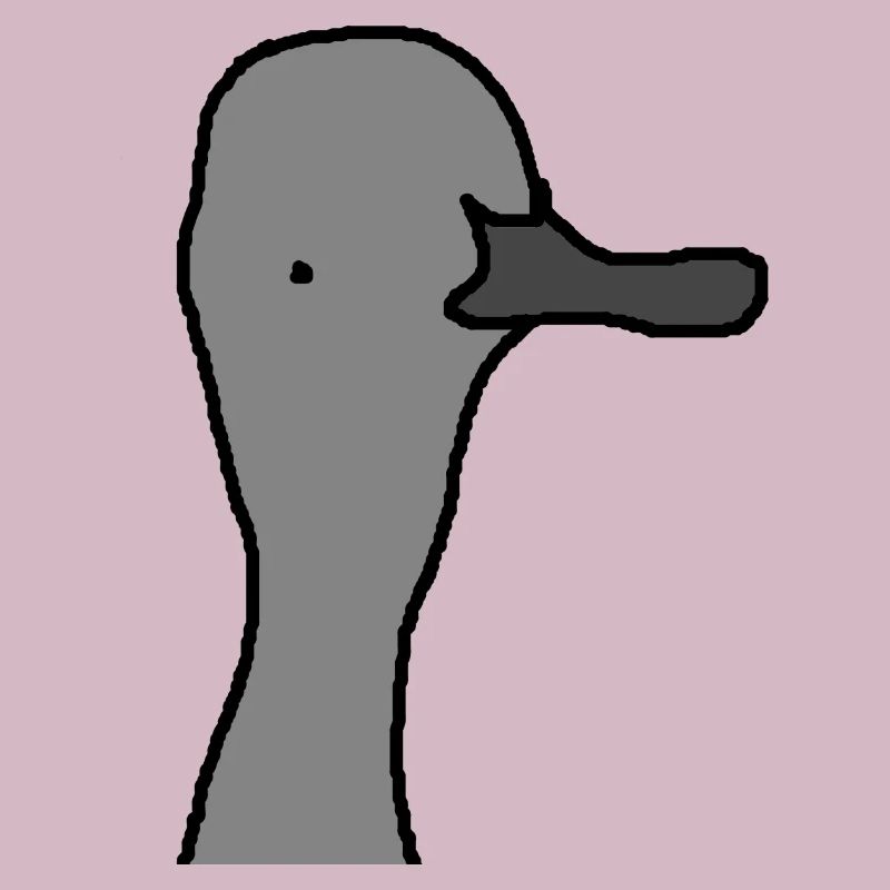 junger Schwan