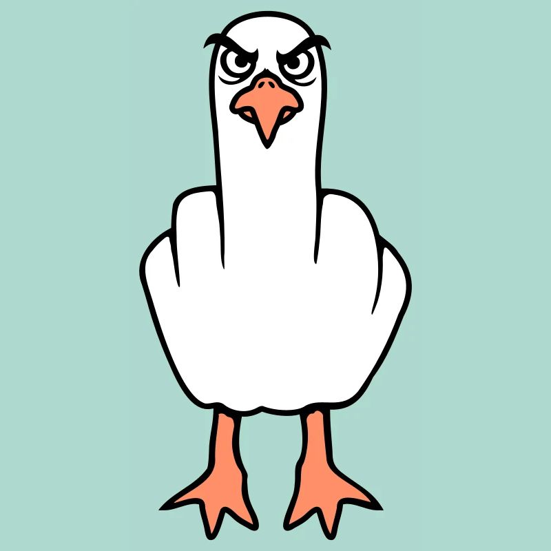 Möwe Mittelfinger Beleidigung Stinkefinger frech