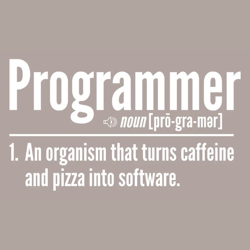Programmer