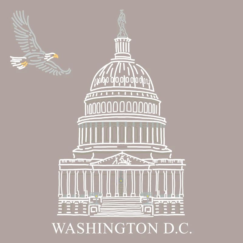 Washington D.C., Capitol Structure, Bald Eagle
