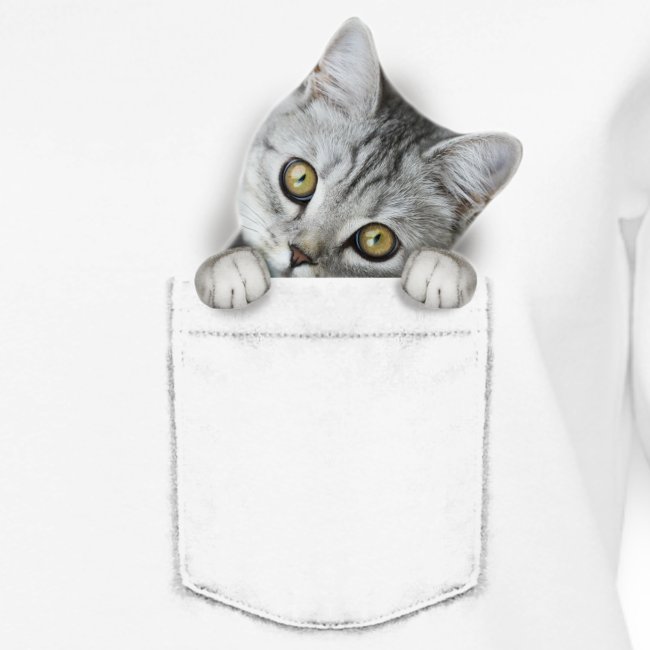 cat pocket - Frauen Premium Pullover