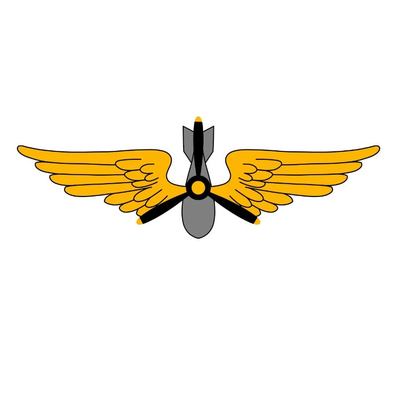 Militär Piloten