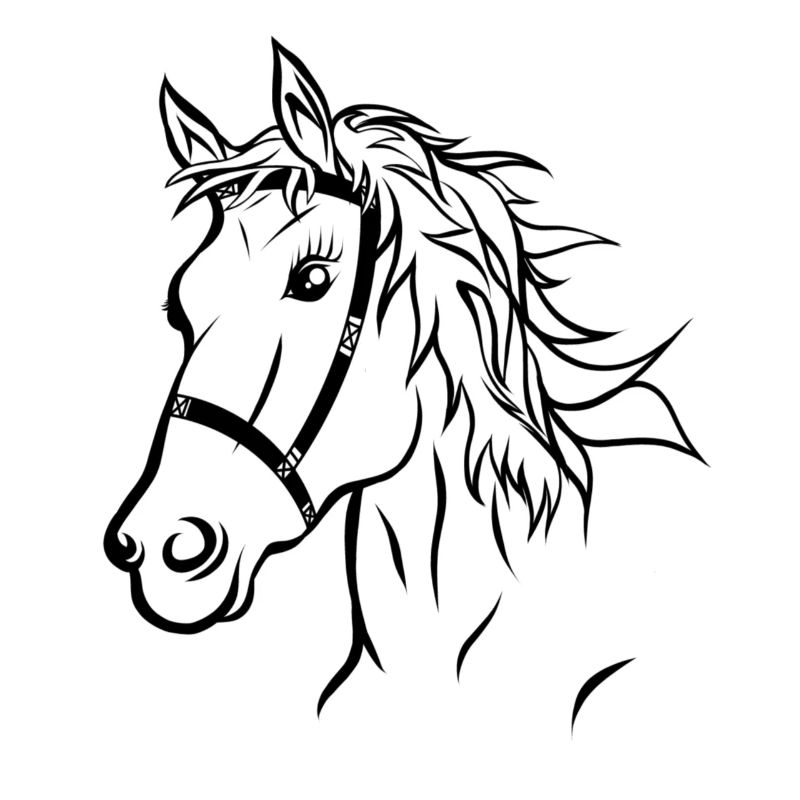 Pferdekopf Pferd Reiten Geschenk