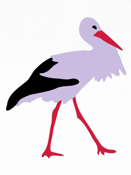 Storch