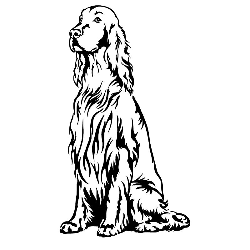 Irish Setter