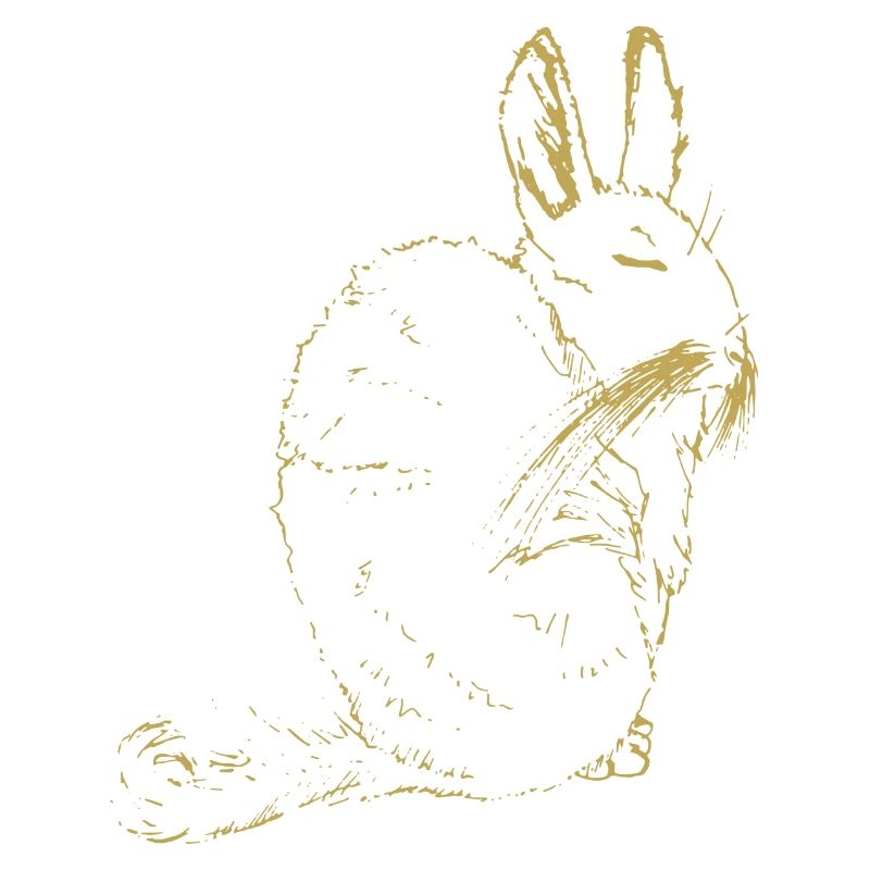 Illustrierte Designs mit Viscacha