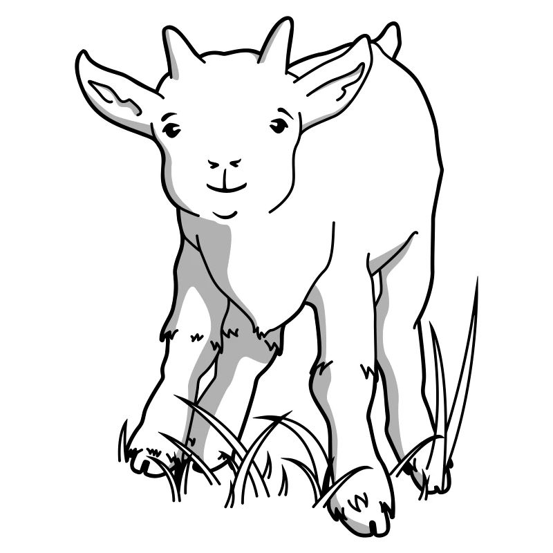 Chèvre mignonne