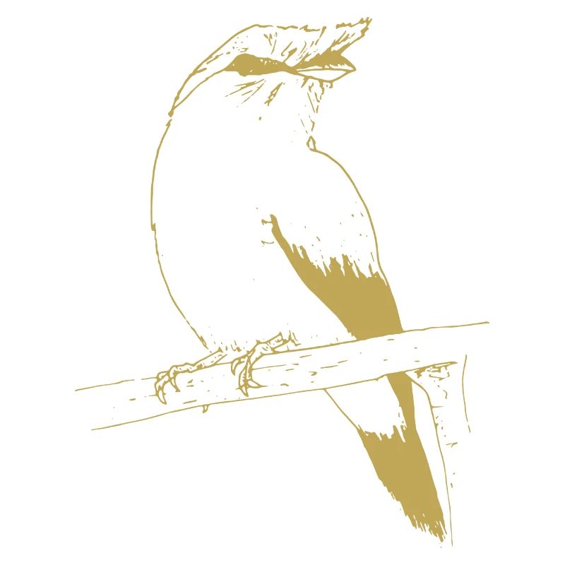 Illustrierte Designs mit Vogel