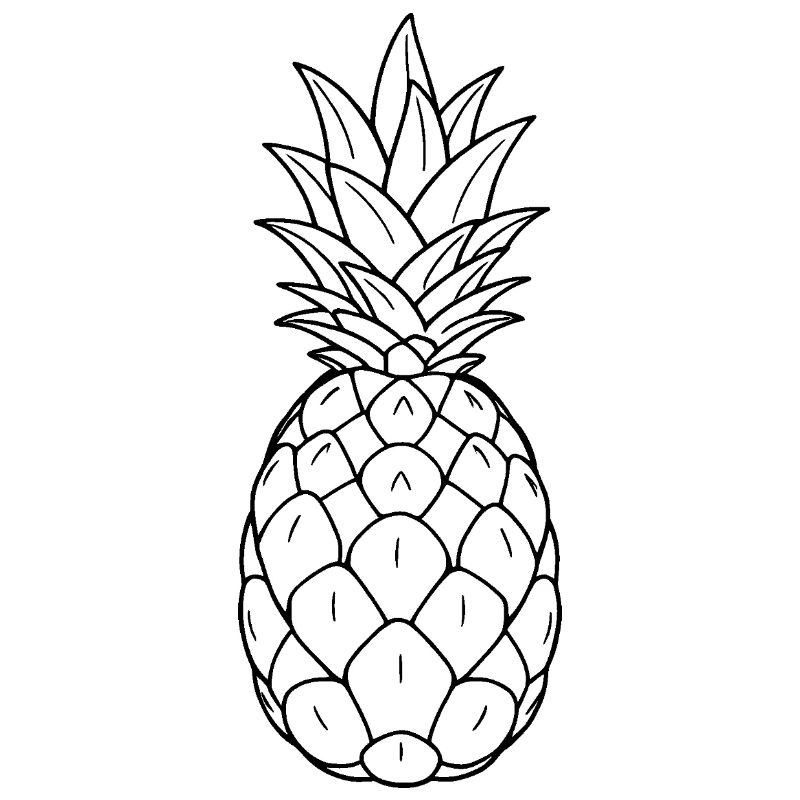 Minimalistic Pineapple