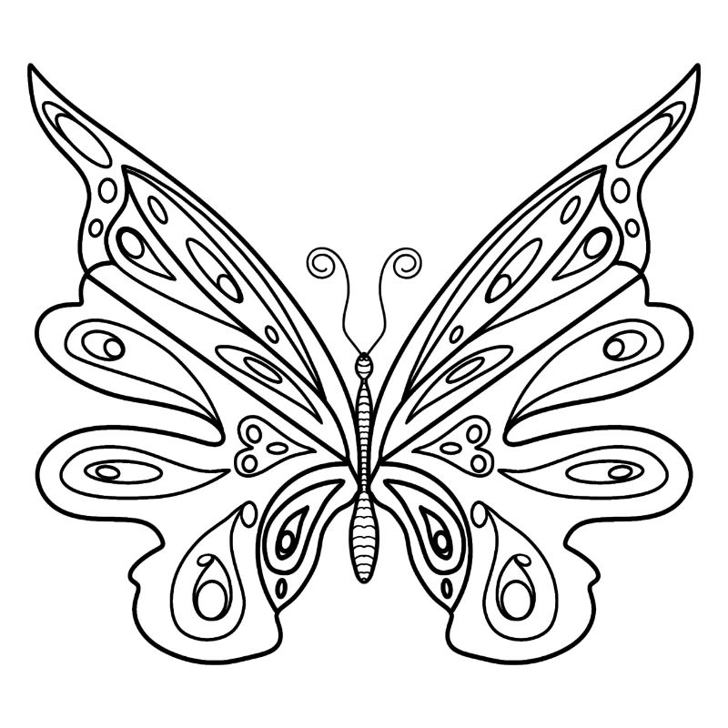 Icône de silhouette de papillon noir isolée.