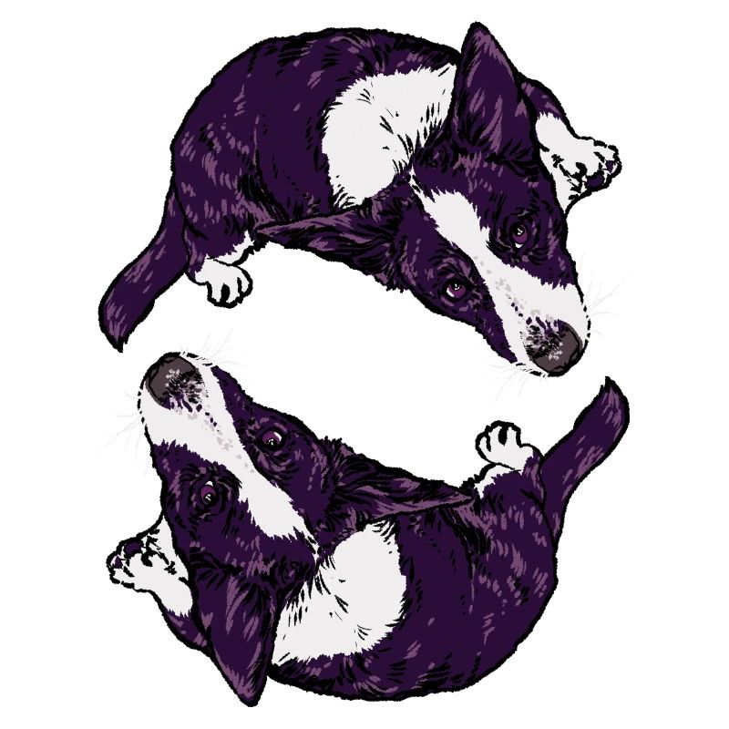 Corgis