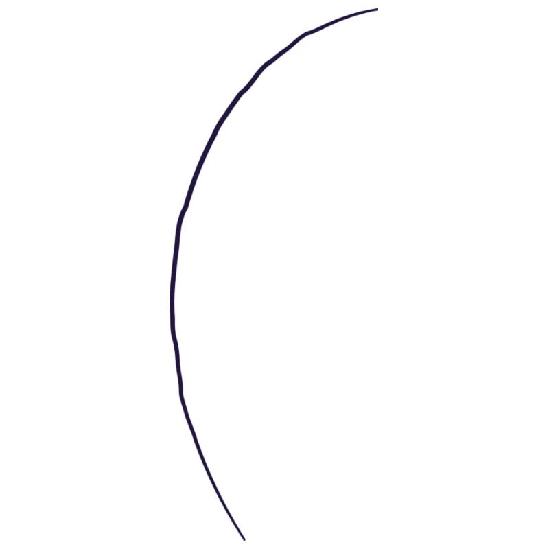 Conifer - line
