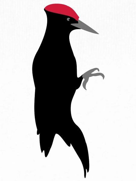 Pic noir