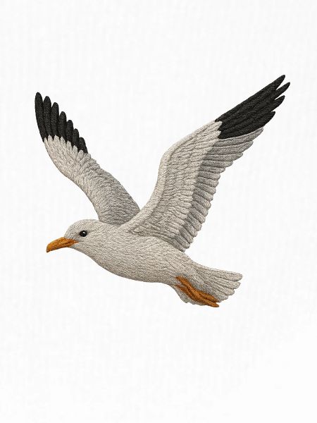 Möwe