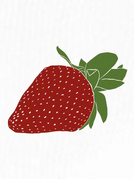 Erdbeere