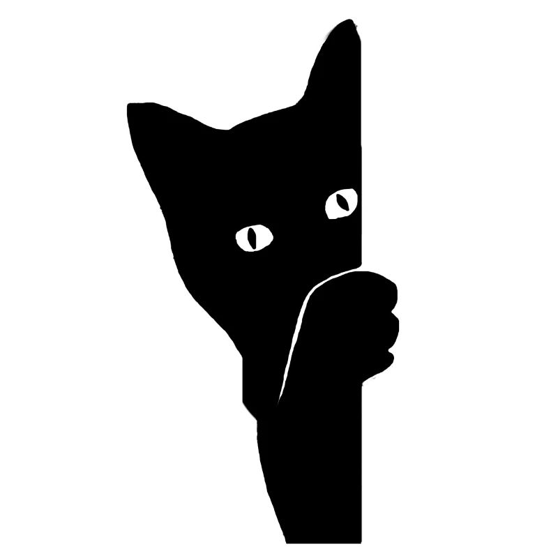 Chat Coucou