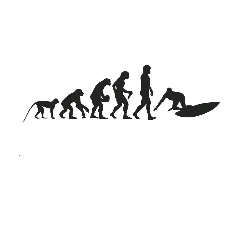 Surf evolution