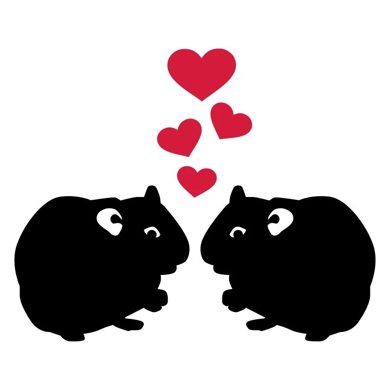 Cochon d'Inde