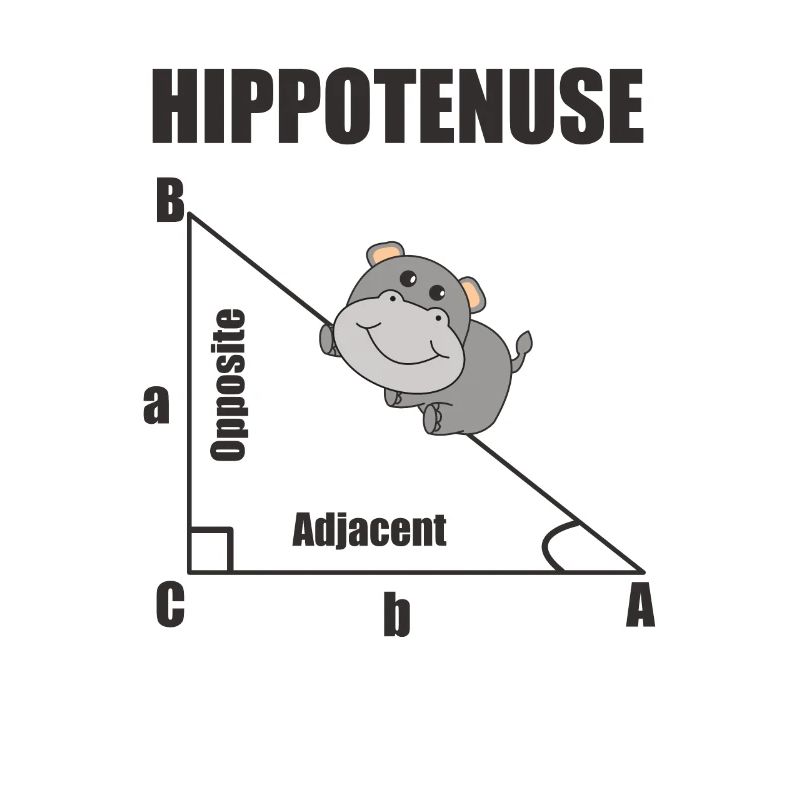 Nerd Geometry Hippotenuse Hypotenuse Math