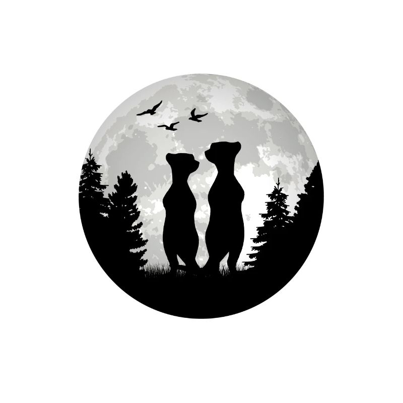 Suricate Lune Suricate