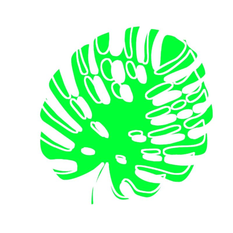 Monstera