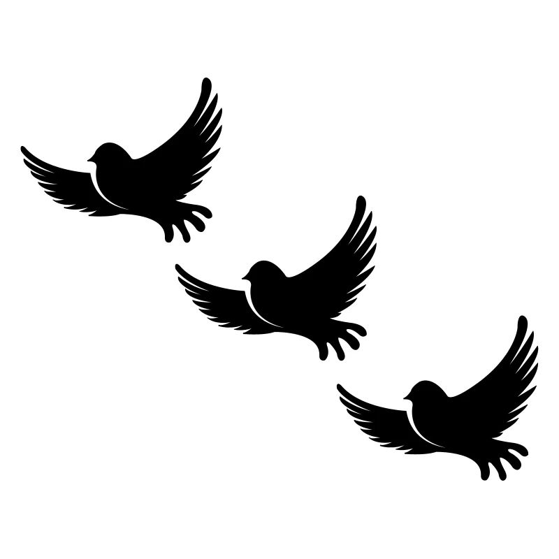 birds