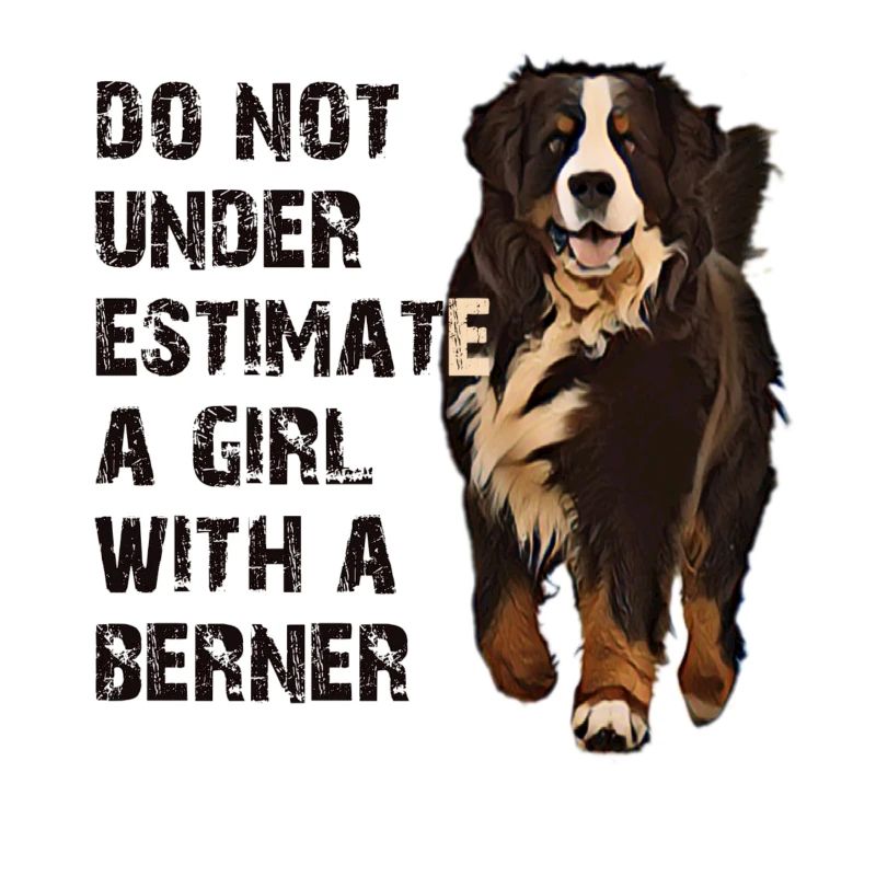 Bernese mountain dog