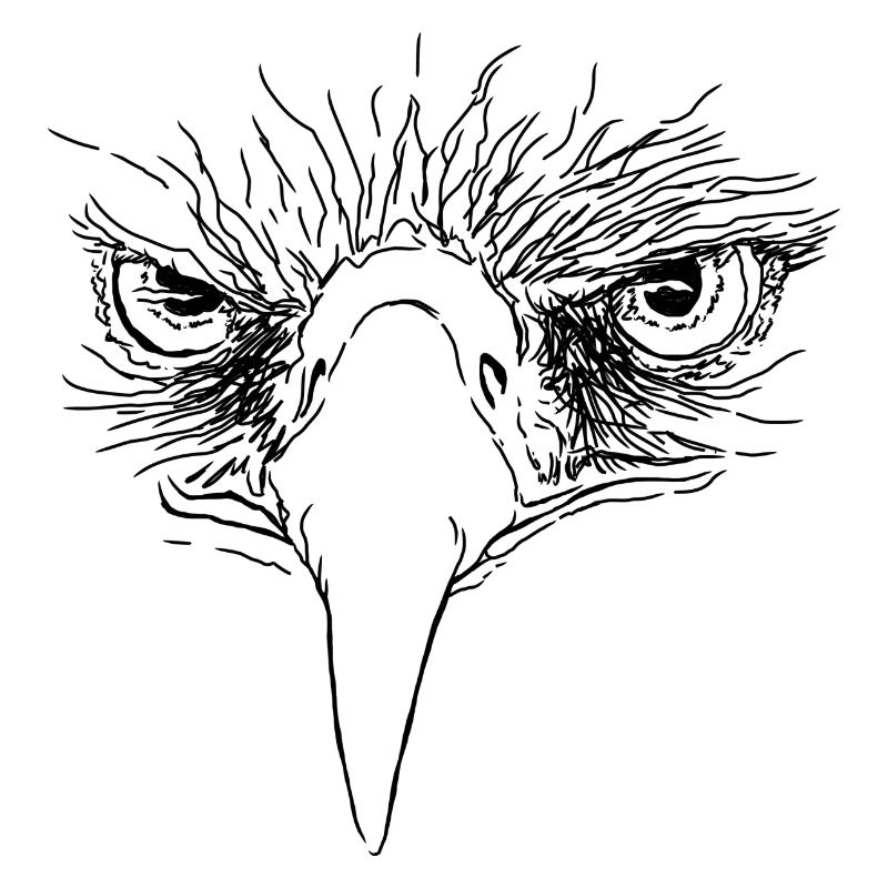 Eagle - Eagle Eyes