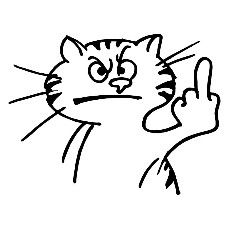 Katze mit Stinkefinger