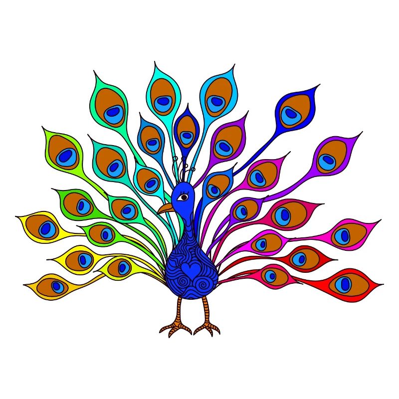 bunter Pfau