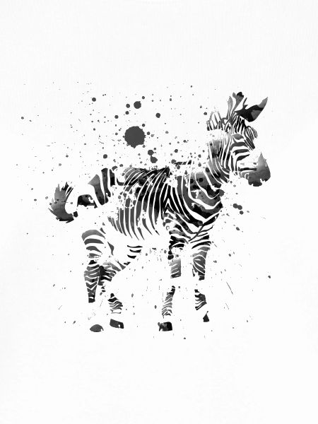 zebra