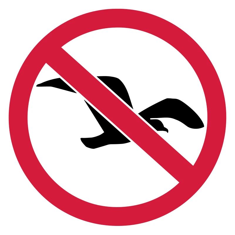 Möwe