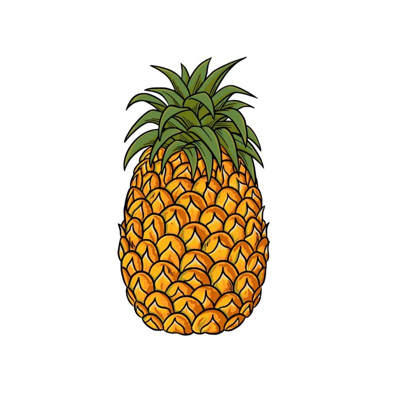 Ananas, Pineapple