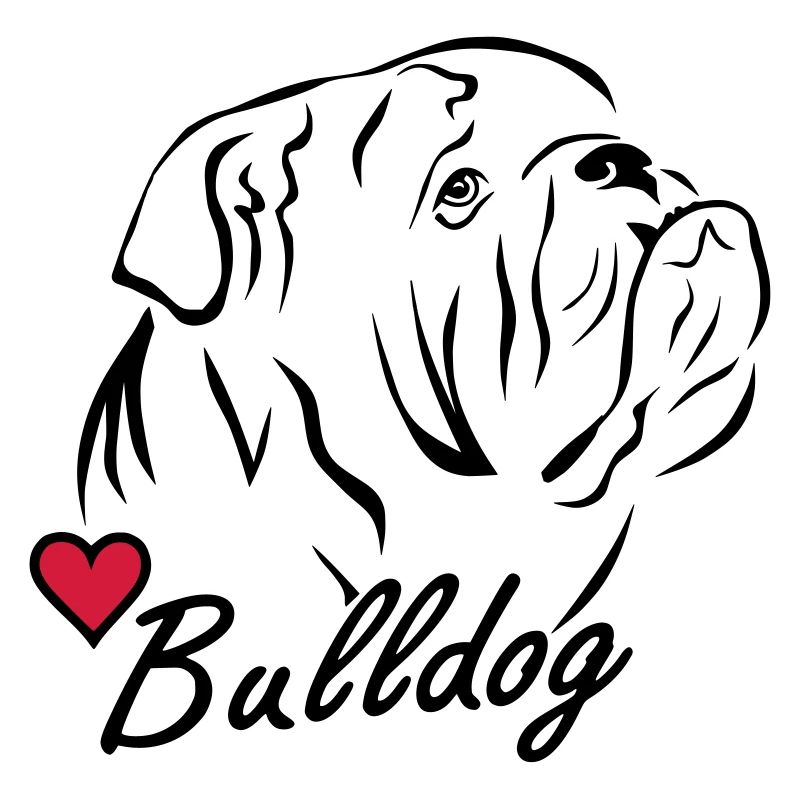Bulldog ♥