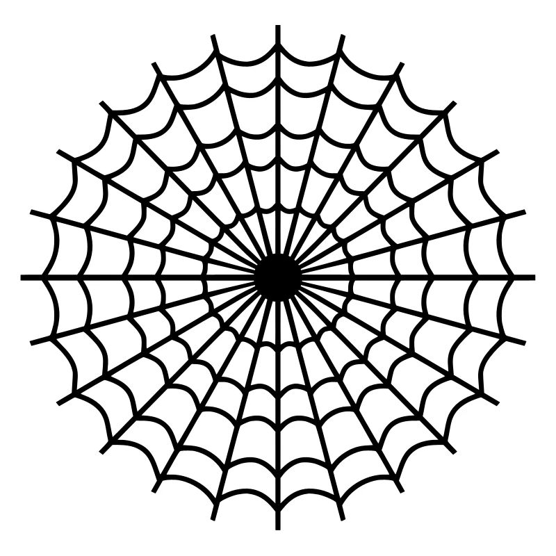 Spinne