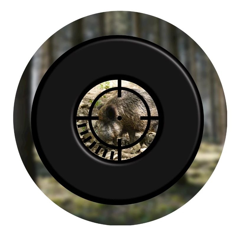 A boar through the scope